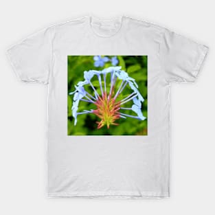 flower II T-Shirt